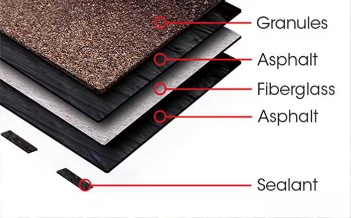 Components of Timberline HD Shingle